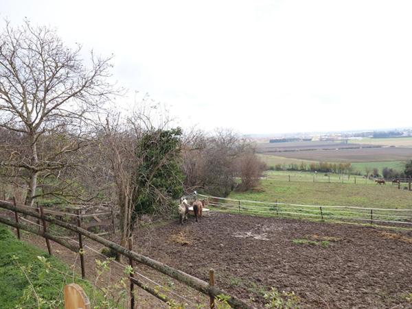 Maison Chaptuzat 5 pièce(s) 120 m2 environs + 4ha de terrain avec source