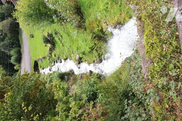 Chalet en bois d'env. 60m² sur sous-sol avec vue imprenable sur  725m² de terrain