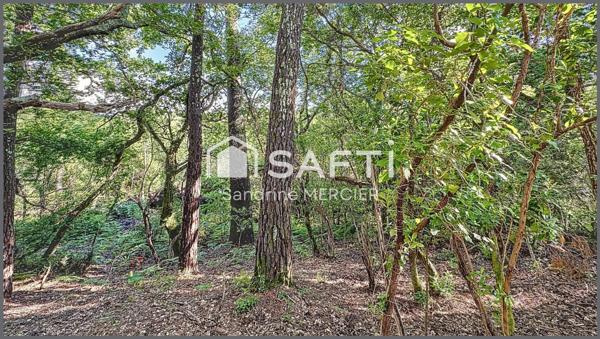 Biscarosse Lac projet construction