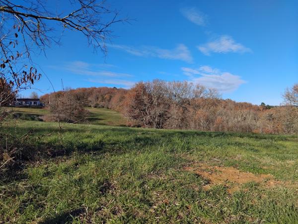 Terrain à vendre à Puy-l'Évêque (46700) - Lot