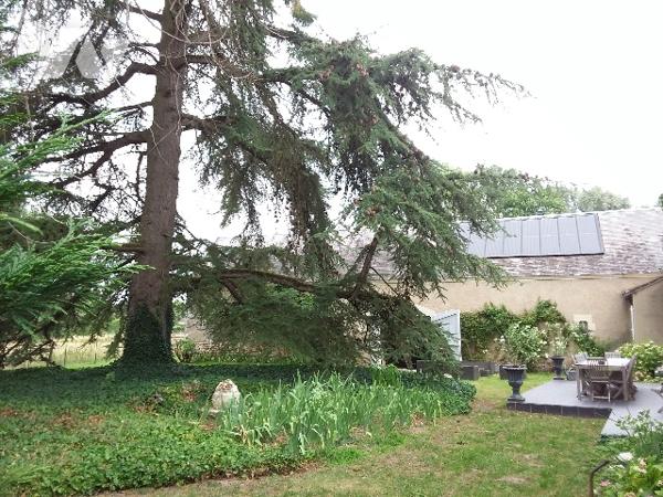 AUTHENTIQUE ANCIENNE FERME EN PIERRE DE PAYS, A 5 MNS DE CONTRES