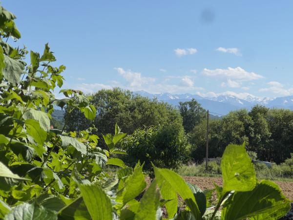 Maison à vendre à Trie-sur-Baïse (65220) - Hautes-Pyrénées