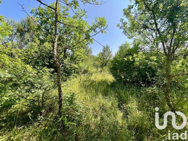 Terrain à vendre 12 527 m² Nans-les-Pins