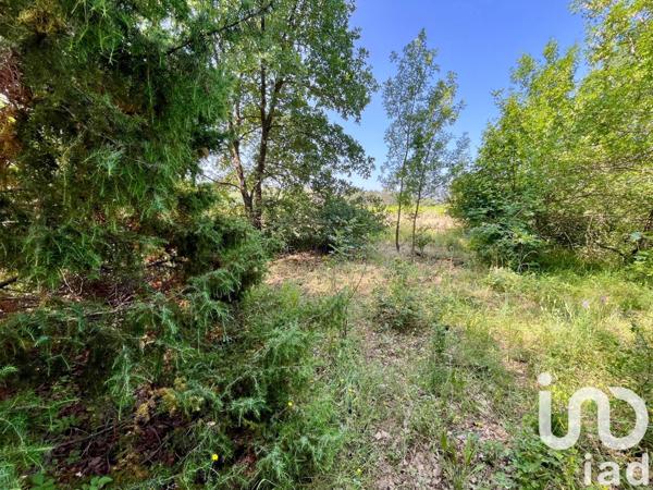 Terrain à vendre 12 527 m² Nans-les-Pins