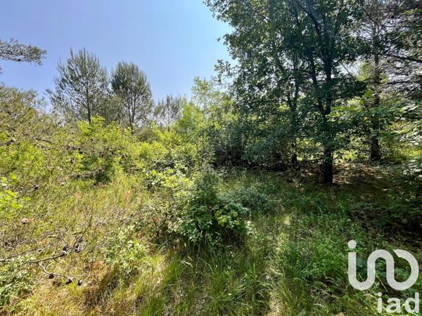 Terrain à vendre 12 527 m² Nans-les-Pins