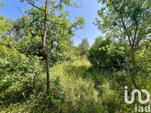 Terrain à vendre 12 527 m² Nans-les-Pins