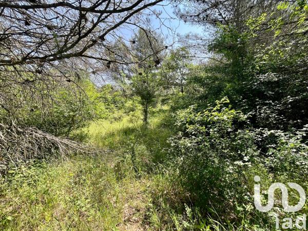 Terrain à vendre 12 527 m² Nans-les-Pins