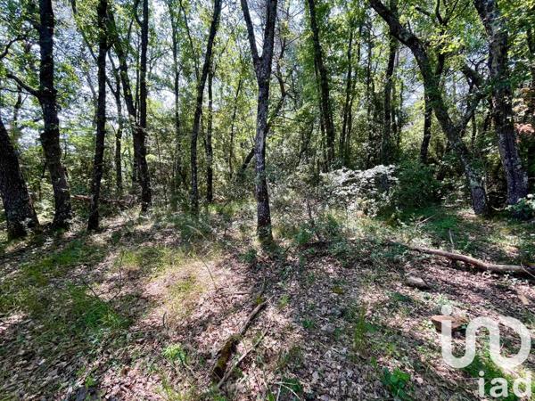 Terrain à vendre 12 527 m² Nans-les-Pins