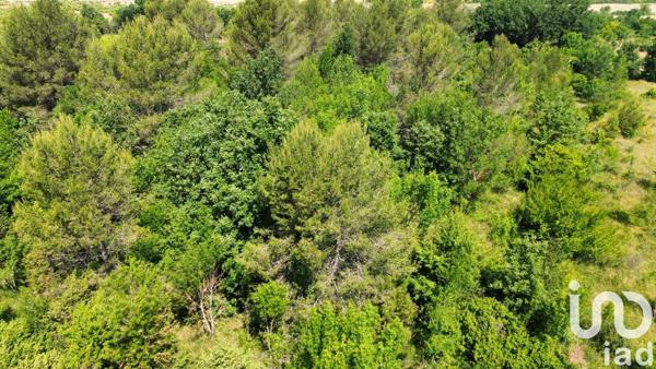 Terrain à vendre 12 527 m² Nans-les-Pins