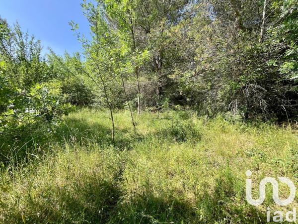 Terrain à vendre 12 527 m² Nans-les-Pins