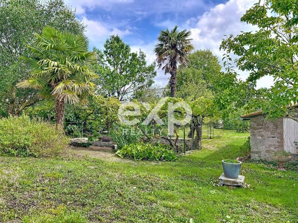 Maison de plain-pied -jardin