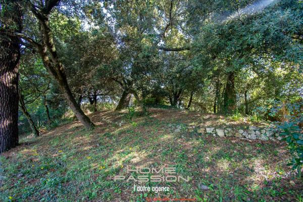 ST GEORGES DE DIDONNE/ PARC DE VALLIERES - VILLA FAMILIALE 350m PLAGE