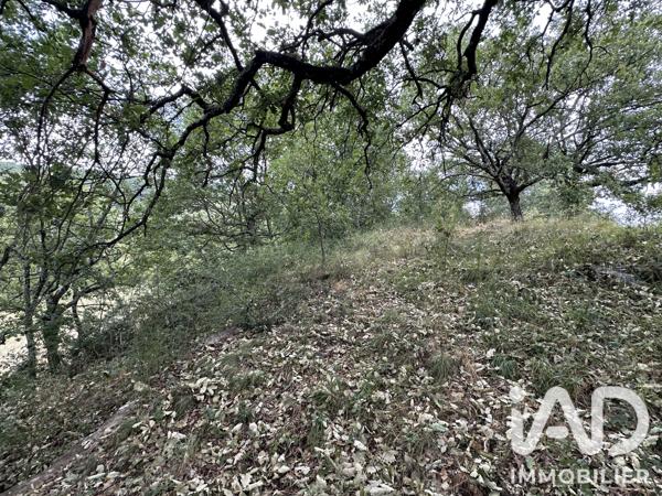 Terrain à vendre 2 835 m² Mercuer