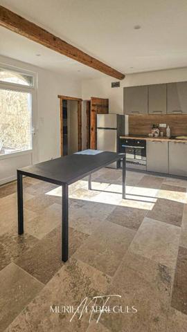 Demeure de charme, belle rénovation, piscine à Saint Papoul