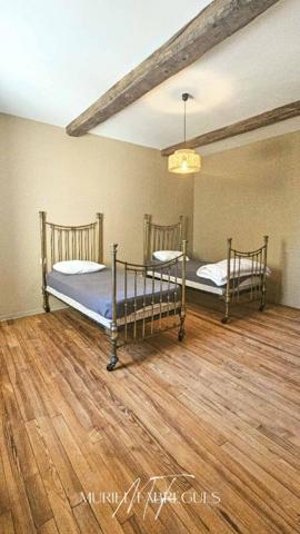 Demeure de charme, belle rénovation, piscine à Saint Papoul