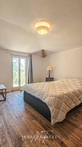 Demeure de charme, belle rénovation, piscine à Saint Papoul