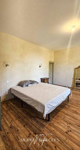 Demeure de charme, belle rénovation, piscine à Saint Papoul