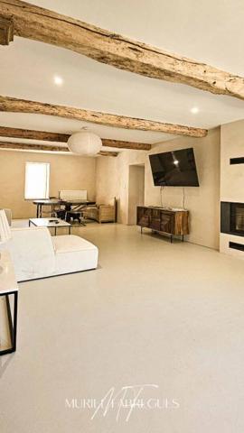 Demeure de charme, belle rénovation, piscine à Saint Papoul