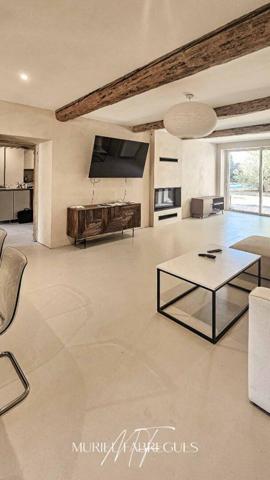 Demeure de charme, belle rénovation, piscine à Saint Papoul