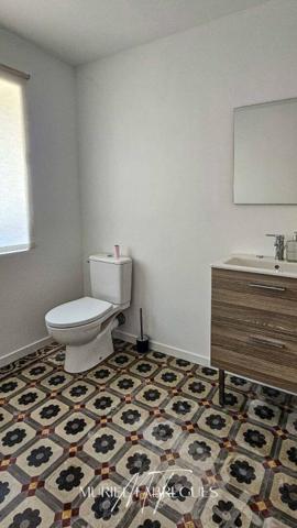 Demeure de charme, belle rénovation, piscine à Saint Papoul