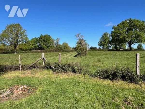 Maison à la campagne avec 2ha de prés- 03160 BOURBON L'ARCHAMBAULT