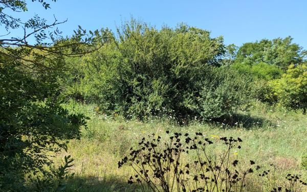 Terrain à vendre    Marennes