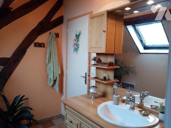 TRES BELLE PROPRIETE AVEC PARC ARBORE CLOS