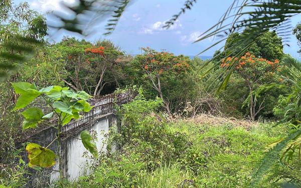 Terrain à vendre    Vieux-Habitants