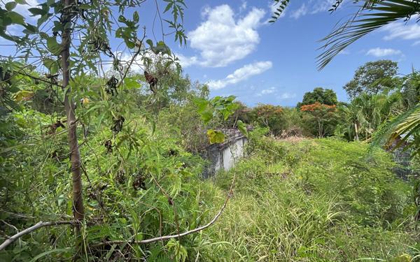 Terrain à vendre    Vieux-Habitants