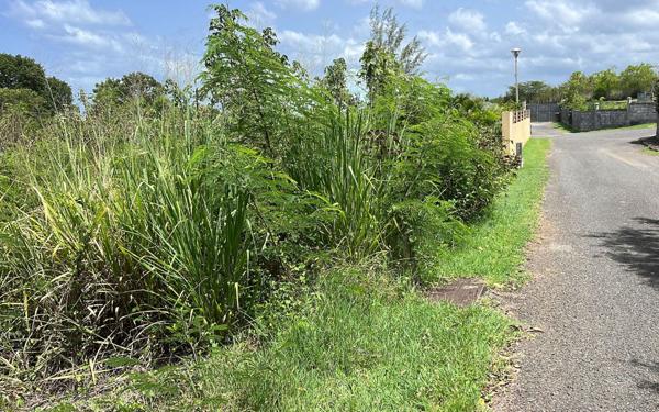 Terrain à vendre    Vieux-Habitants