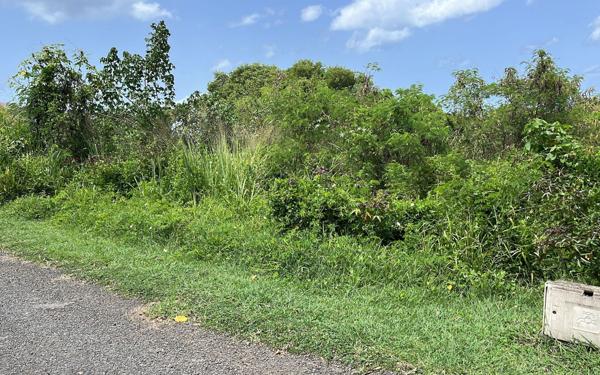 Terrain à vendre    Vieux-Habitants