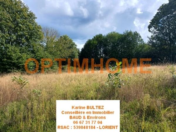 Terrain à vendre de 521,00 m² BAUD (56)