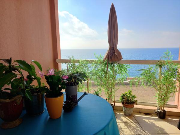 Appartement 1 pièce - 27 m² Exclusivité efficity