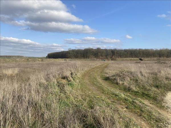 Terrain à vendre |  Saint-Florent-sur-Cher |  874 m²