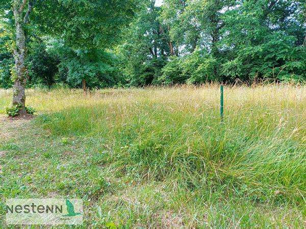 Terrain à vendre à Médis - Opportunité à saisir !