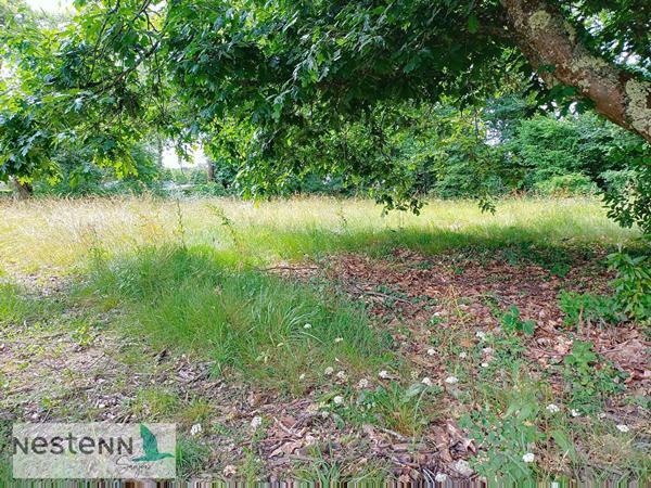 Terrain à vendre à Médis - Opportunité à saisir !