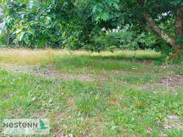 Terrain à vendre à Médis - Opportunité à saisir !