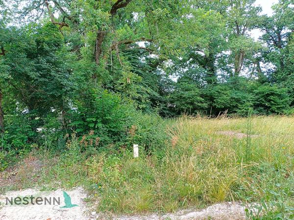 Terrain à vendre à Médis - Opportunité à saisir !