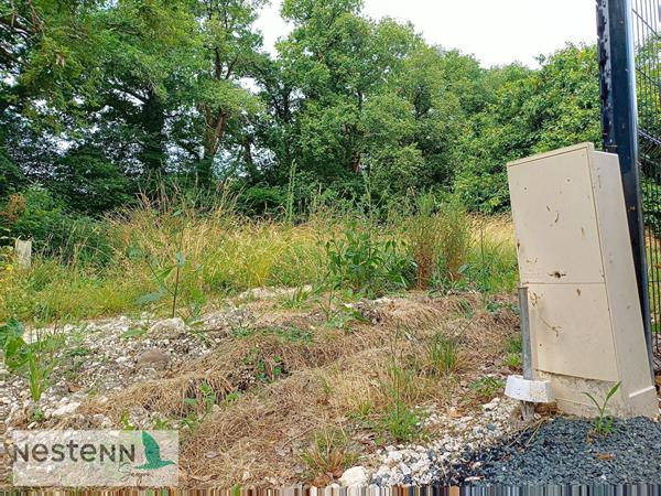 Terrain à vendre à Médis - Opportunité à saisir !