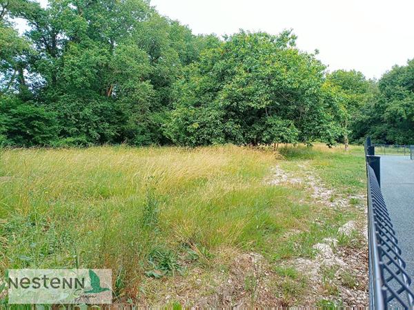 Terrain à vendre à Médis - Opportunité à saisir !