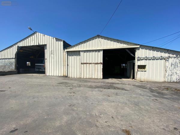 Maison à vendre à Louvigné-du-Désert en Ille-et-Vilaine (35420), ref : 135/35