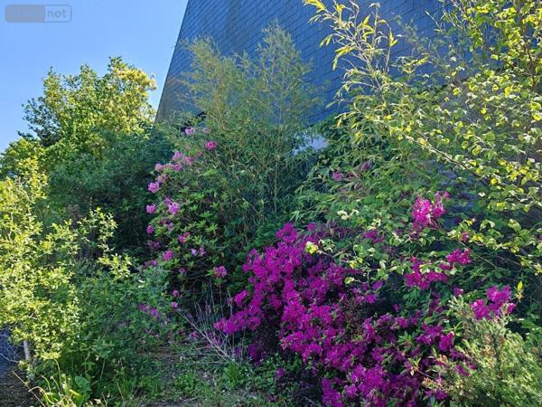 Immeuble à vendre à Plounéour-Ménez dans le Finistère (29410), ref : 29107-2761