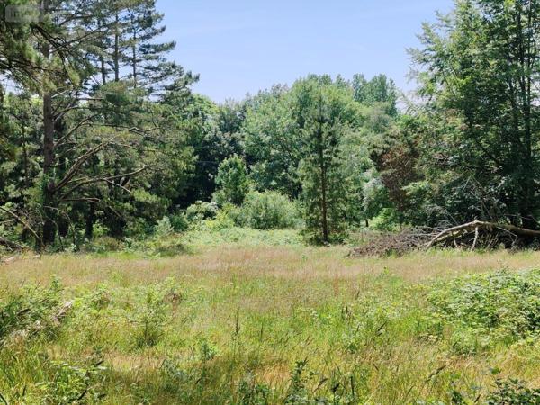 Immeuble à vendre à Plounéour-Ménez dans le Finistère (29410), ref : 29107-2761