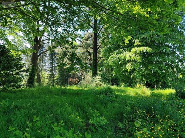 Immeuble à vendre à Plounéour-Ménez dans le Finistère (29410), ref : 29107-2761