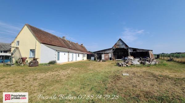 Maison 200 m² avec 7500 m²  - NOYANT-VILLAGES (49390)