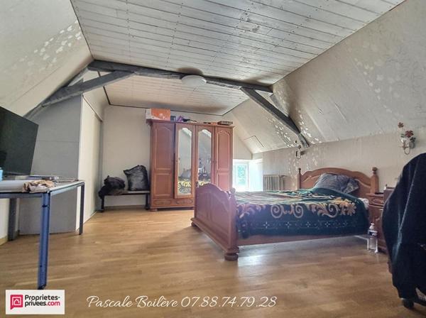 Maison 200 m² avec 7500 m²  - NOYANT-VILLAGES (49390)