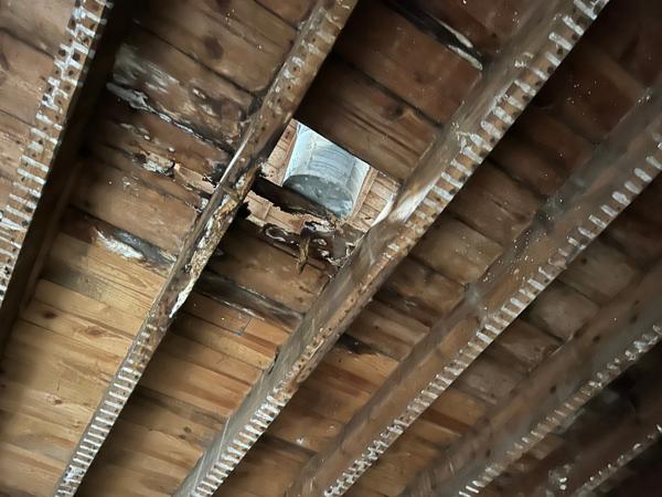 Maison à rénover 2 pièces 100 m² avec jardin centre-ville de Libourne