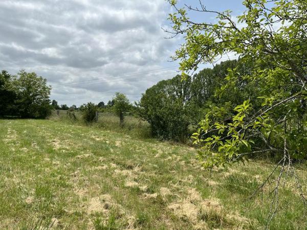 Terrain à vendre |  La Couronne |  2005 m²