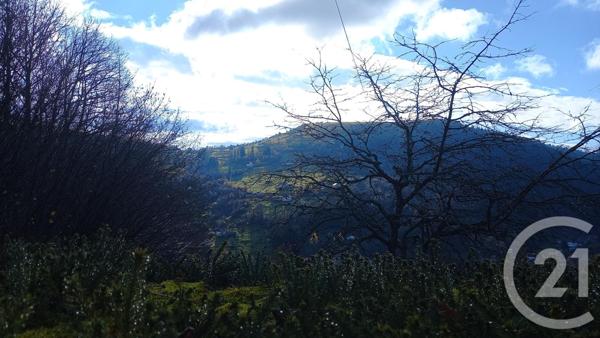 Maison à vendre  11 pièces - 123,38 m2 LA BRESSE - 88