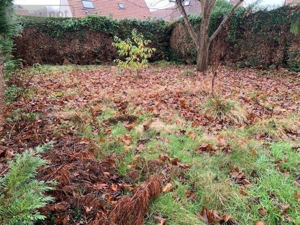 Maison à vendre à Grand-Couronne en Seine-Maritime (76530), ref : 76009-461